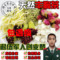 上下架计划:包邮 组合花茶 促进乳腺发育 木瓜葛根康乃馨