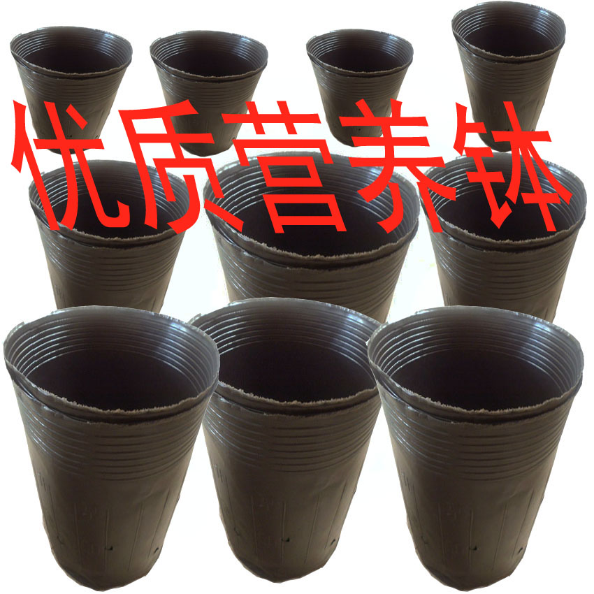 育苗杯營養缽塑料杯育苗碗花盆育苗盤育苗塊育苗穴盤育苗盒臨沂在類目 鮮花速遞/花卉仿真/綠植園藝, 園藝用品, 育苗盤/營養鉢中 - 來自Buy2taobao.com提供專業的淘寶代購服務