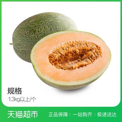 海南薄皮脆甜西州蜜瓜1个1.3kg以上/个 哈密瓜 网纹瓜 新鲜水果