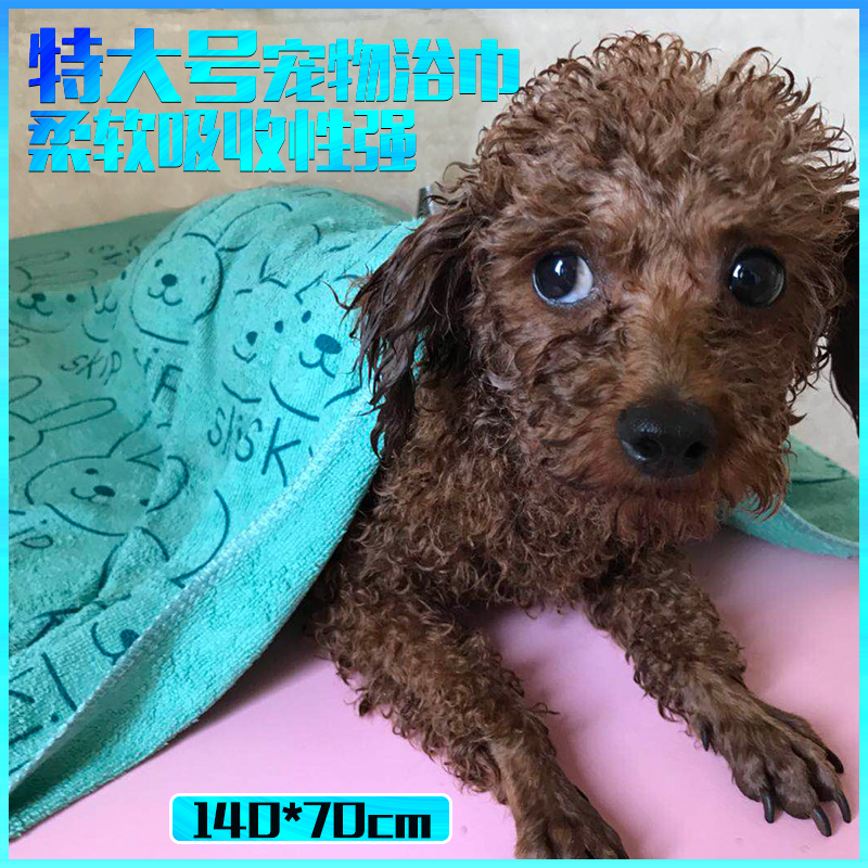 Pets Bath towel Dogs Kitty Outsize thickening fibre take a shower water uptake towel Teddy Golden Retriever Bath Suppliesin the Pet/Pet food and supplies , Cat/Dog grooming cleaning supplies , Towel/Bath towel/Absorbent towel category - from Buy2taobao.com to provide professional Taobao agent buy service