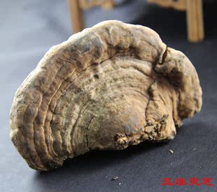  野生灵芝 平盖灵芝 林芝 滋补品 失眠 补中 疲劳100g【玉缘灵芝】