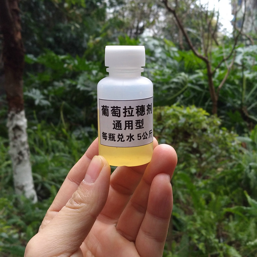 果树营养液 通用型 葡萄拉穗剂 拉花剂 巨峰夏黑藤稔甬优拉长果穗在类目 鲜花速递/花卉仿真/绿植园艺, 园艺用品, 家庭园艺肥料/营养土/营养液中 - 来自Buy2taobao.com提供专业的淘宝代购服务
