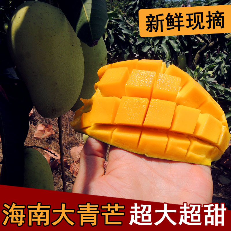 海南热带芒果新鲜大青芒 非澳芒凯特芒攀枝花桂七金煌芒水果 10斤|ruв категории водной мясо/свежие фрукты и овощи/еда, свежие фрукты, манго - от Buy2taobao.com для оказания профессиональной услуги покупки агента Taobao