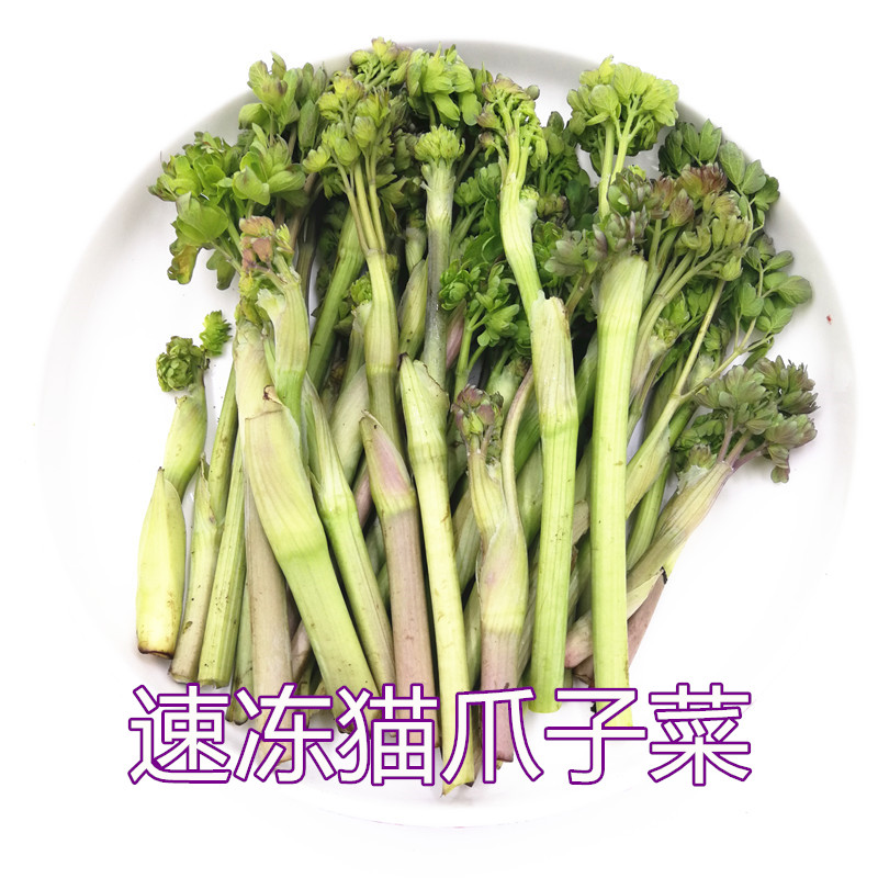 东北新鲜野菜速冻猫爪子菜2斤每份包邮 保温箱加冰在类目 水产肉类/新鲜蔬果/熟食, 新鲜蔬菜/蔬菜制品, 新鲜蔬菜, 其它中 - 来自Buy2taobao.com提供专业的淘宝代购服务