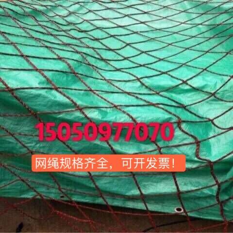车网兜储物 货车网绳 汽车盖顶 尼龙网绳 绳网 轮胎丝/线 网罩|ruв категории оборудование/инструменты, строительство защиты, входят защита, сеть безопасности - от Buy2taobao.com для оказания профессиональной услуги покупки агента Taobao