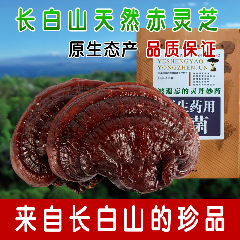Changbai Sessile lucidum wild Wild Lingzhi Pruning Ganoderma Nyingchi 250gin the Traditional nourishing food , Ganoderma , Pruning Ganoderma category - from Buy2taobao.com to provide professional Taobao agent buy service