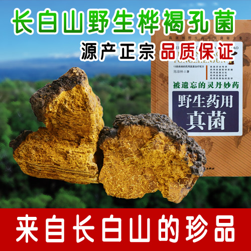 Changbai wild Birch Velvet Inonotus Birch phellinusigniarius Birch tears Nyingchiin the Traditional nourishing food , Ganoderma , Pruning Ganoderma category - from Buy2taobao.com to provide professional Taobao agent buy service