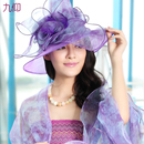 九仰2013春夏季大花朵气质纱帽 优雅流行帽子女夏天韩版遮阳帽子 九仰2013春夏季大花朵气质纱帽 优雅流行帽子女夏天韩版遮阳帽子