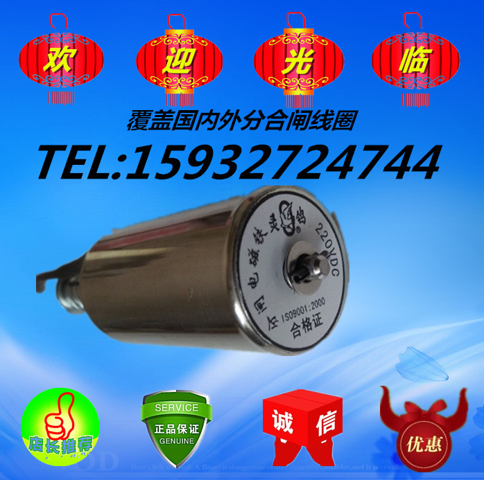 ZN63A VS1分合闸线圈 灵鸽 电磁铁推拉式 DC220V 160欧姆 圆型在类目 电子/电工, 其它中 - 来自Buy2taobao.com提供专业的淘宝代购服务