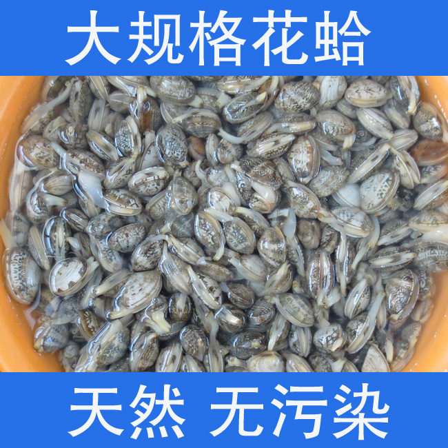 大连鲜活沙蚬子花蛤干蛤蜊蚬子杂色蛤花甲蛤蛎花蛤肉即食海鲜500g在类目 水产肉类/新鲜蔬果/熟食, 海鲜/水产品/制品, 贝类, 贝类制品中 - 来自Buy2taobao.com提供专业的淘宝代购服务