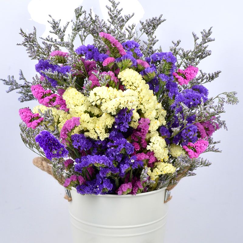 Yunnan natural Forget me not Dried flowers Bouquet of flowers decorate Home Furnishing a decoration Plug vasein the Home accessories , Vase/Flower/Artificial flowers/Imitation jewelry , Dried flowers/Petal/Dried package/Dry twigs category - from Buy2taobao.com to provide professional Taobao agent buy service