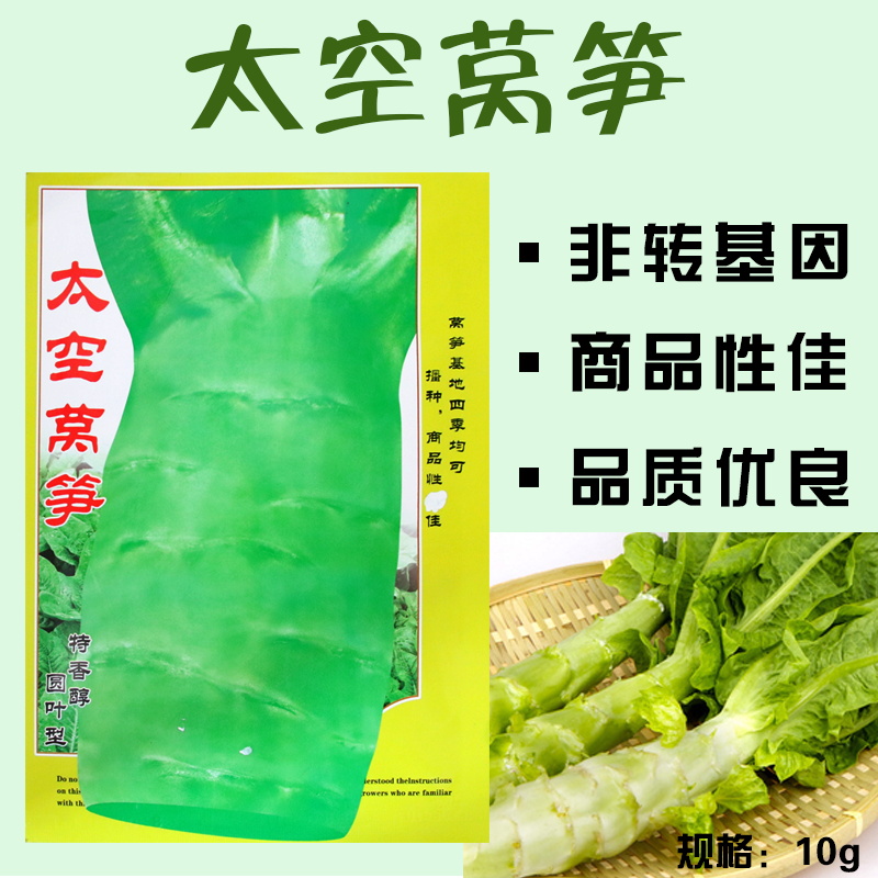 太空莴笋种子 莴苣 青笋 家庭阳台种菜籽 蔬果蔬菜植物种籽|ruв категории сельскохозяйственных материалов, семена/саженцы, семян овощей - от Buy2taobao.com для оказания профессиональной услуги покупки агента Taobao