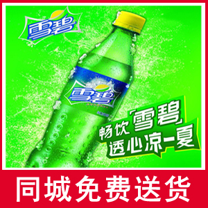  雪碧 500ml/清爽柠檬味汽水/冰爽饮料 济南免费送货 24瓶/箱