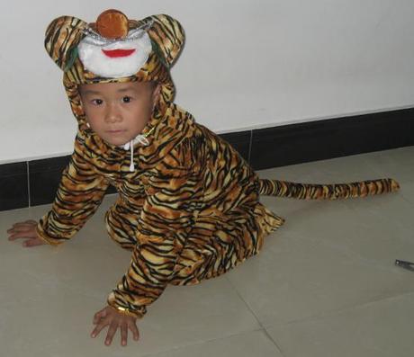 儿童老虎表演服装 动物卡通造型演出服装 舞台