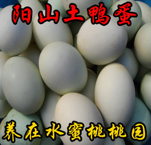  天然土鸭蛋 阳山土鸭蛋 土鸭水蜜桃桃园散养 品质保证 阳山鸭蛋
