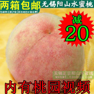  预定新鲜水果 特产正宗无锡阳山水蜜桃桃子预订桃农直销绿色水果