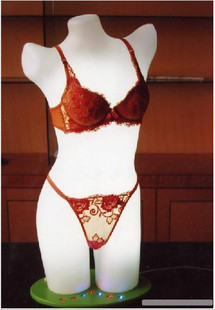 女士半身内衣<em>文胸</em>透明<em>模特展示</em>架橱窗展示架亚