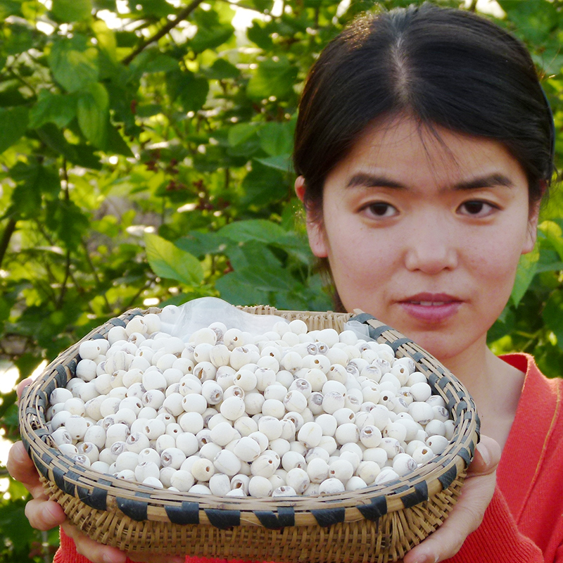 Honghu Wang Wenjuan Lotus seed Bailian White Lotus dried food Tremella Lotus seed Fresh lotus seedsin the Agri rice/Dried foods/Condiment , Dried foods/Meat Dry , Dry/Native , Lotus category - from Buy2taobao.com to provide professional Taobao agent buy service