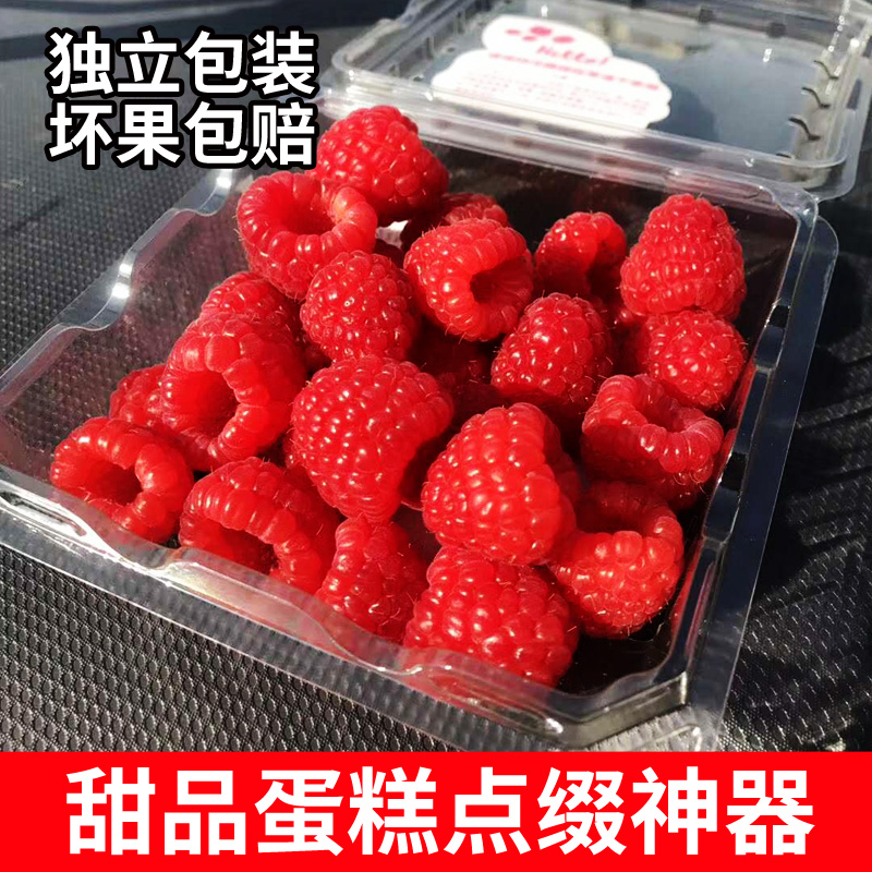 fresh Red Raspberry Rare fruit wild Raspberry Fresh fruit 2 boxes 250g recommend Shunfeng Jiangsuin the Aquatic meat/Fresh fruits and vegetables/Cooked , Fresh fruit , Other category - from Buy2taobao.com to provide professional Taobao agent buy service