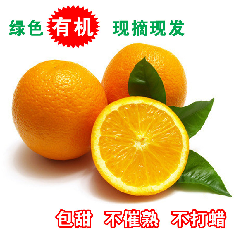 【预售】11月橙子 赣南脐橙 新鲜水果 现摘现发 绿色有机包甜包邮