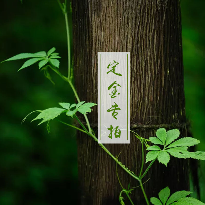 德馨阁茶具定金|ruв категории посуда, чайный сервиз, другие - от Buy2taobao.com для оказания профессиональной услуги покупки агента Taobao