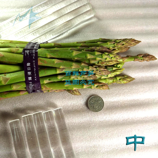  【中规型】医生推荐 抗癌 新鲜芦笋 天然绿色有机蔬菜 特价