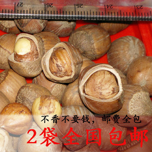  【范静怡】铁岭开原榛子东北特产 手拍水漏 2袋包邮特价500克49元