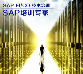 SAP培训机构FICO视频教程+真实SAP系统(不