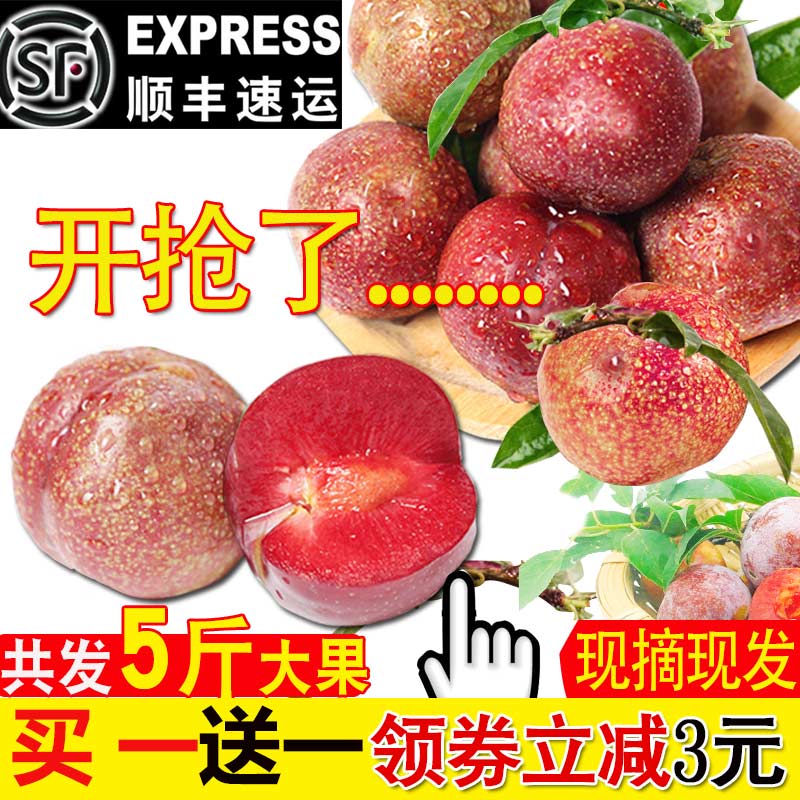 顺丰包邮广东新鲜当季现摘红心李三华李子孕妇水果酸甜脆李子5斤在类目 水产肉类/新鲜蔬果/熟食, 新鲜水果, 李子中 - 来自Buy2taobao.com提供专业的淘宝代购服务
