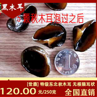  [世鹿]黑木耳 特级 东北 秋木耳 无根猫耳状 肉质细腻 120元/250g