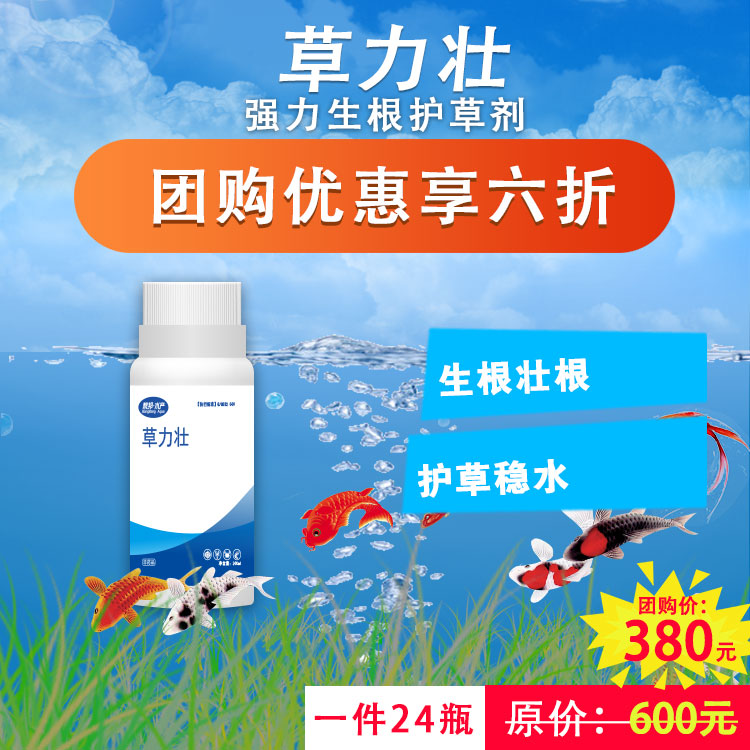 草力壮 帮邦水产护草剂壮根水草生根肥根力壮腐烂烂根烂叶|ruв категории животноводства/аквакультура материалов, корма, кормовой добавки - от Buy2taobao.com для оказания профессиональной услуги покупки агента Taobao