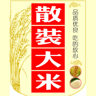  江苏大米 新米 散装农家比东北大米新米好吃 250G 江浙沪包邮