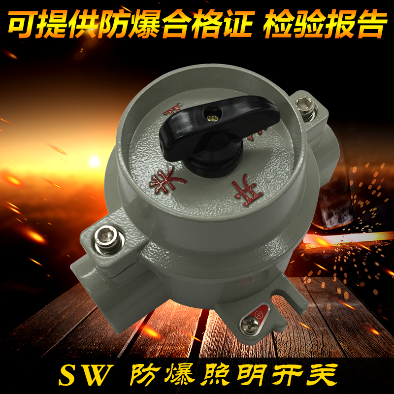 【冲钻特价】防爆开关 SW-10系列防爆照明开关220V380v控制开关|ruв категории электронный/электрик, другие - от Buy2taobao.com для оказания профессиональной услуги покупки агента Taobao
