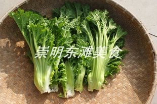  崇明 绿色健康蔬菜 自种新鲜芥菜 自然生长 绝无农药