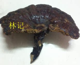  紫灵芝片 林芝片 一等品紫灵芝正品 灵芝切片 紫芝500g包邮