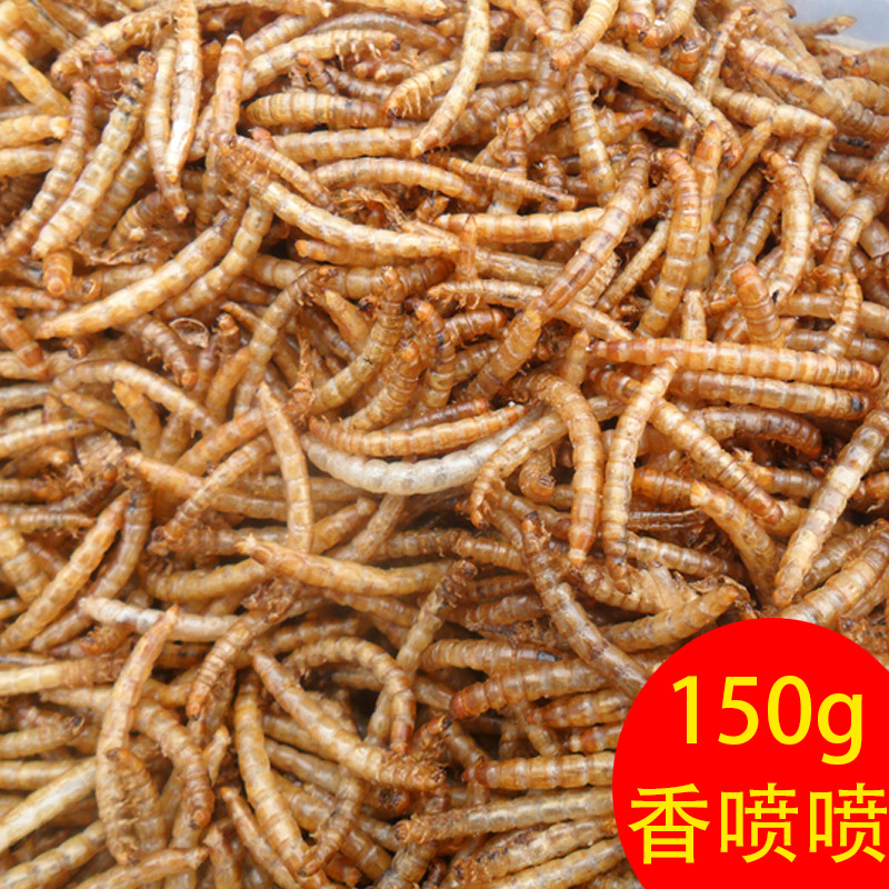 面包虫干黄粉虫仓鼠粮金丝熊零食刺猬鱼食鱼饲料龟粮鸟食150g|msdalam kategori haiwan peliharaan/makanan haiwan dan bekalan, hamsters kelas haiwan peliharaan dan lain-lain kecil, Feed/makanan ringan - dari Buy2taobao.com untuk memberikan perkhidmatan ejen Taobao profesional membeli