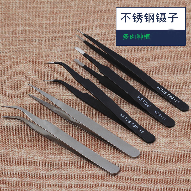Stainless steel tweezers Sowing good helper Gardening tools Gardening supplies Garden Tools Potted Toolsin the Flower delivery/Flowers simulation/Plants gardening , Gardening supplies , Other Garden Supplies category - from Buy2taobao.com to provide professional Taobao agent buy service