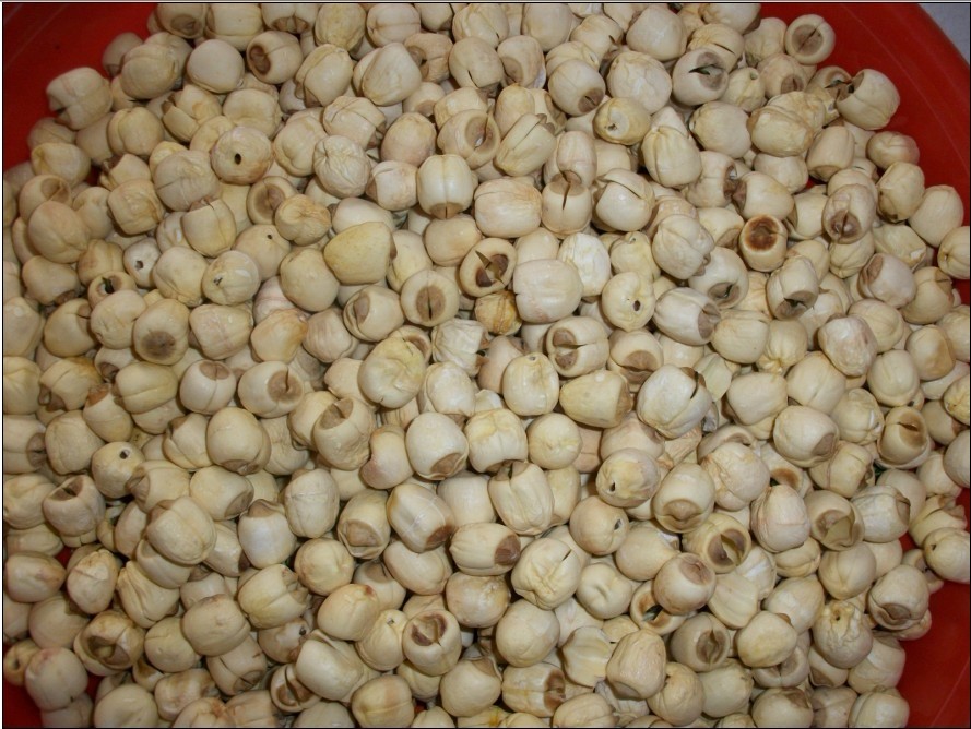 New products Best Sellers Fujian dried food Native Catty 25 element Farm Lotus seed 2 jin 100 elementin the Agri rice/Dried foods/Condiment , Dried foods/Meat Dry , Dry/Native , Lotus category - from Buy2taobao.com to provide professional Taobao agent buy service