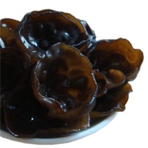 黑木耳 500克在类目 粮油米面/南北干货/调味品, 南北干货/肉类干货, 干货/土特产, 黑木耳中 - 来自Buy2taobao.com提供专业的淘宝代购服务