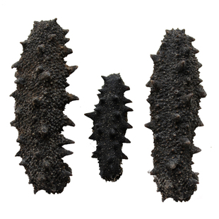  宏裕堂 深海野生淡干海参 6-8年刺身辽参 顶级海参特干货50克包邮