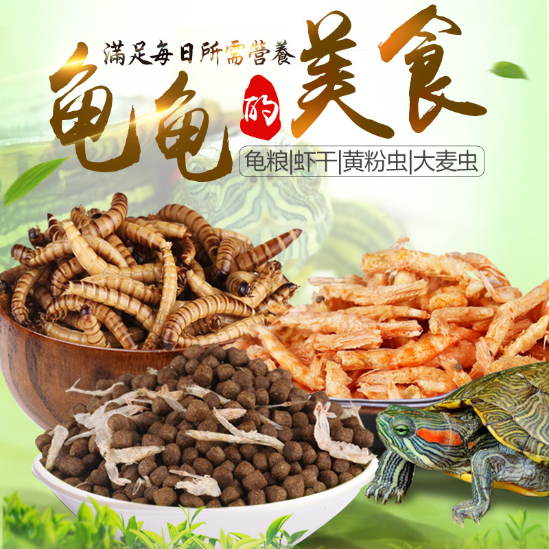 龟粮包邮乌龟饲料森森寸金龟粮草龟鳄龟巴西龟小龟粮补钙虾干龟食|msdalam kategori haiwan peliharaan/makanan haiwan dan bekalan, Aquarium World, Turtle Watch/makanan penyu - dari Buy2taobao.com untuk memberikan perkhidmatan ejen Taobao profesional membeli