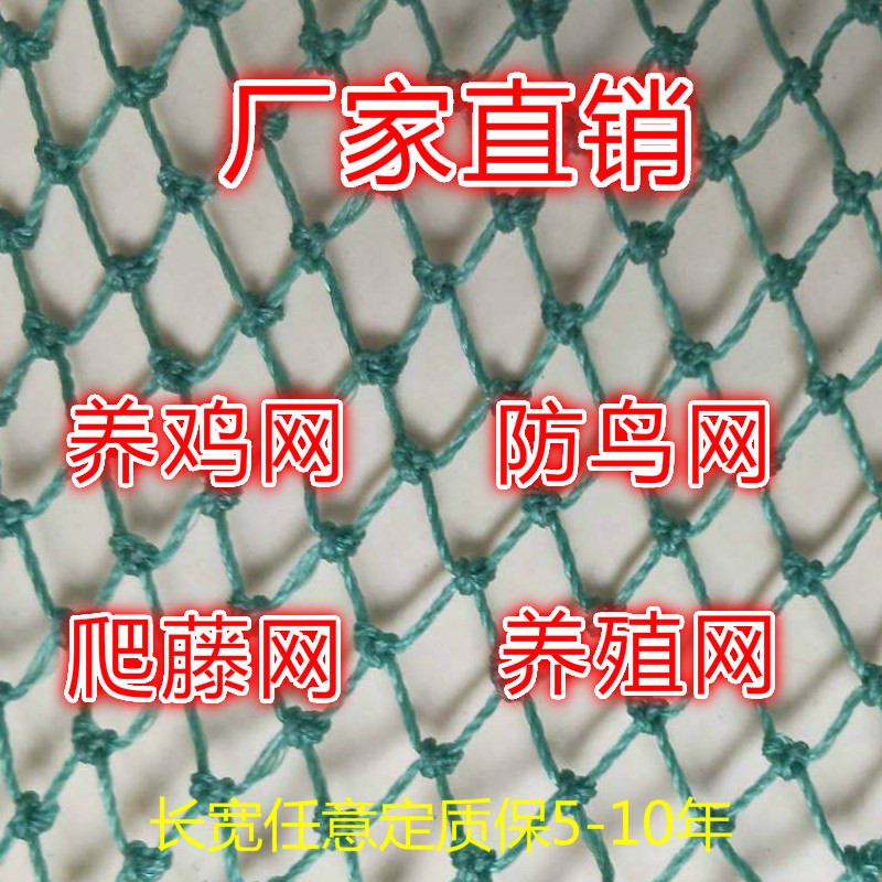 养殖网防鸟网塑料网爬藤网尼龙网护栏网拦鸡网家禽围栏网在类目 鲜花速递/花卉仿真/绿植园艺, 园艺用品, 其它园艺用品中 - 来自Buy2taobao.com提供专业的淘宝代购服务