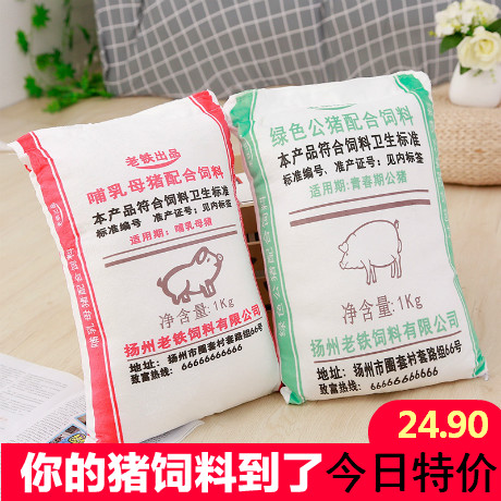 April Fool's Day Kuso gift birthday Wonderful Pleasantly surprised Tricky The whole person Toys Pig feed girl student Schoolboyin the Festive supplies/Gift , Tricky supplies category - from Buy2taobao.com to provide professional Taobao agent buy service