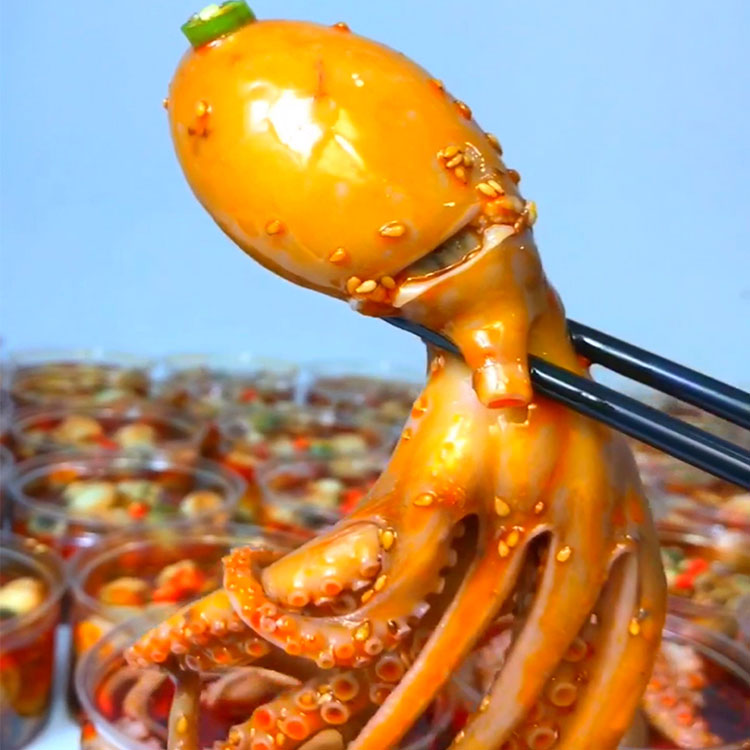 套餐2:长腿爆头八爪鱼+满籽海兔+大蛏王肉+大扇贝肉99元包邮海鲜|msdalam kategori daging perikanan/Buah-buahan segar dan sayur-sayuran/dimasak, makanan laut/produk akuatik/produk, lain - dari Buy2taobao.com untuk memberikan perkhidmatan ejen Taobao profesional membeli