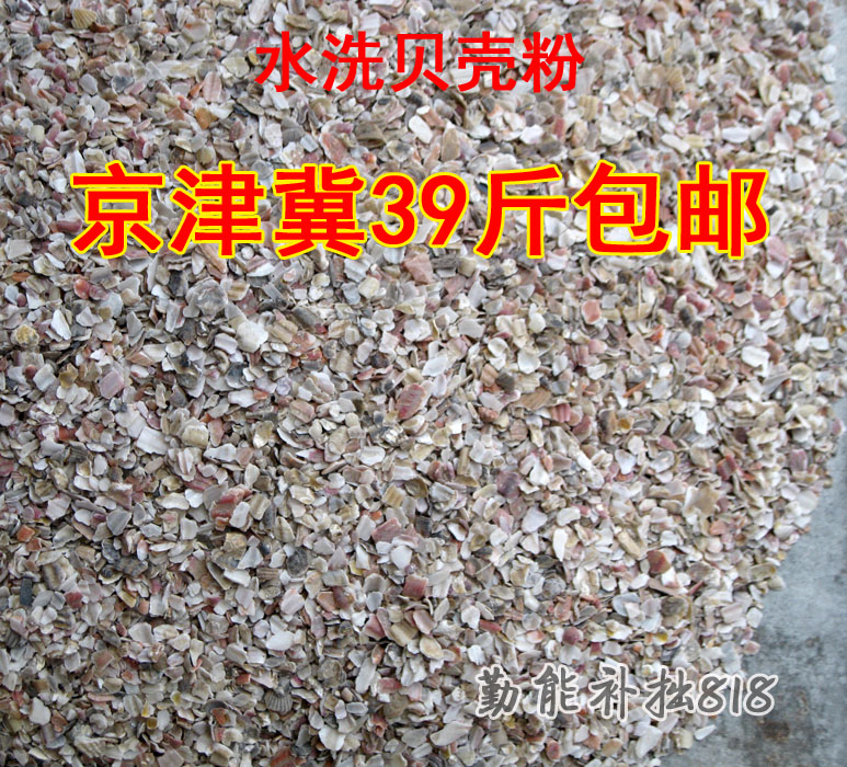 贝壳粉补钙鸽子饲料保健 鸡补钙贝壳粉鸡用防啄贝壳粉饲料鸡用在类目 畜牧/养殖物资, 饲料, 饲料添加剂中 - 来自Buy2taobao.com提供专业的淘宝代购服务