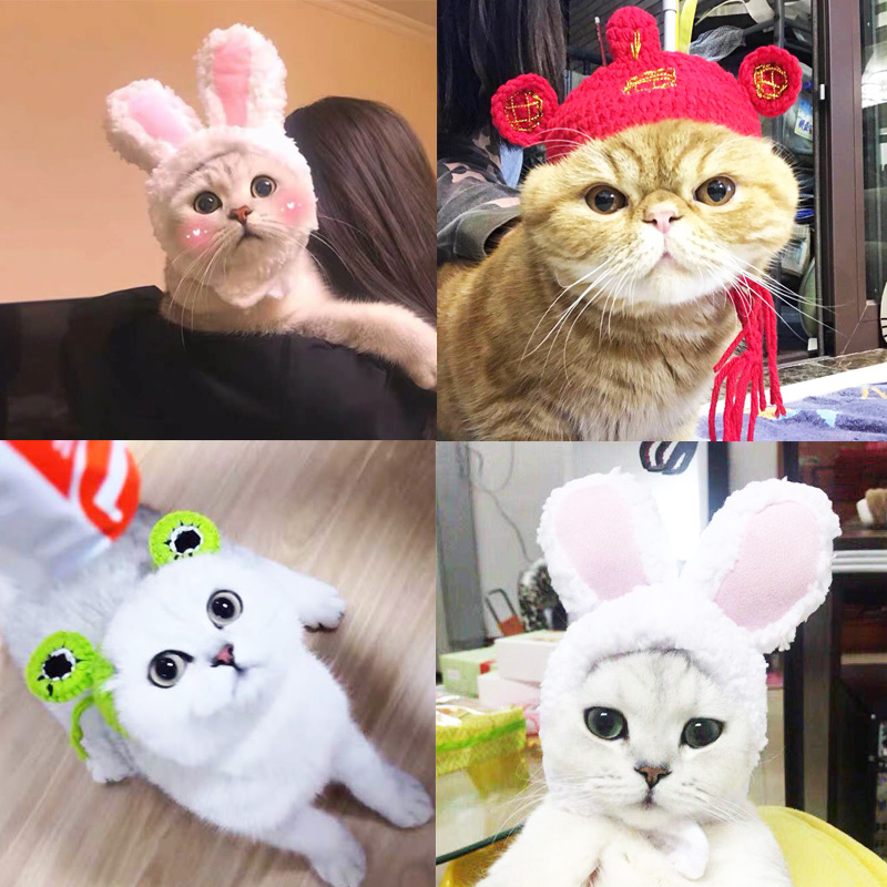 猫咪帽子宠物猫头套可爱狗狗帽子猫猫帽猫咪头饰装扮围巾围脖|ruв категории животное/Животное питание и принадлежностей, одежды и аксессуаров для домашних животных, шляпа - от Buy2taobao.com для оказания профессиональной услуги покупки агента Taobao