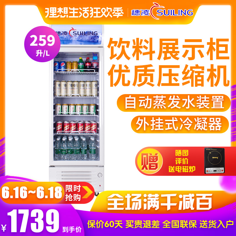 穗淩 LG4-259LT展示冷櫃 飲料冷櫃 立式展示櫃 冷藏 保鮮單門冰櫃在類目 大家電, 冷櫃/便攜冷熱箱, 冷櫃中 - 來自Buy2taobao.com提供專業的淘寶代購服務