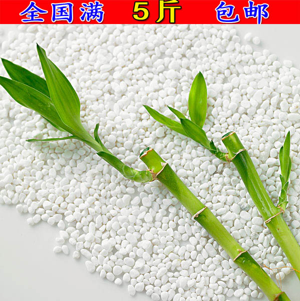 natural White Pebble White jade gardening Potted plant Paved Landscaping courtyard white cobblestonein the Flower delivery/Flowers simulation/Plants gardening , Gardening supplies , Other Garden Supplies category - from Buy2taobao.com to provide professional Taobao agent buy service