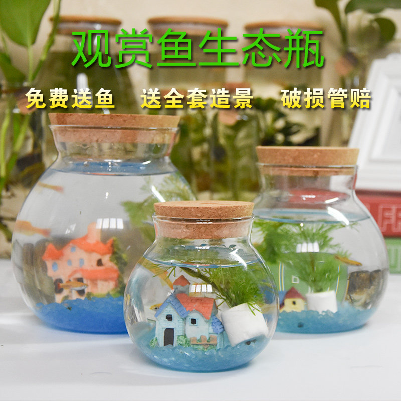 originality ecology Small fish tank Office desktop Mini Aquarium circular Aquarium Hopper tankin the Pet/Pet food and supplies , Aqua World , Aquarium fish tanks and other equipment , Eco-Bottle/Creative cylinder/Desktop micro-cylinder category - from Buy2taobao.com to provide professional Taobao agent buy service