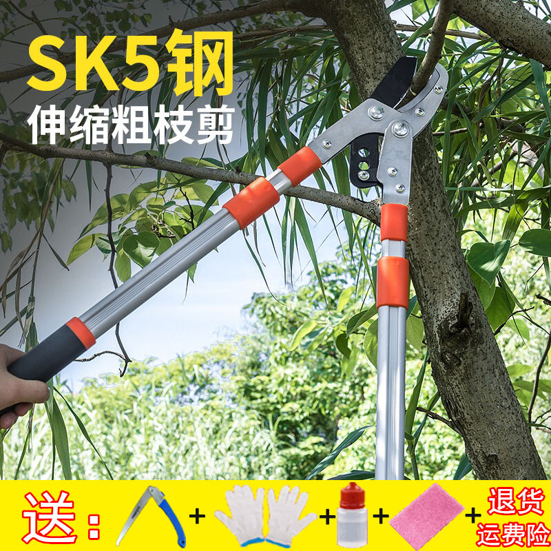 修枝剪粗枝剪高枝剪树枝剪刀果树园艺剪刀伸缩大力剪园林大剪刀|ruв категории доставка цветов/цветок моделирования/растения садоводства, садовых принадлежностей, садоводство/нож/сдвиг/пила (новый), почкование нож - от Buy2taobao.com для оказания профессиональной услуги покупки агента Taobao